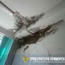 Прокуратура заинтересовалась состоянием детского сада на Нейбута во Владивостоке, в котором потекла крыша