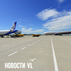 Нарушения орнитологического обеспечения полётов выявили в аэропорту Владивостока