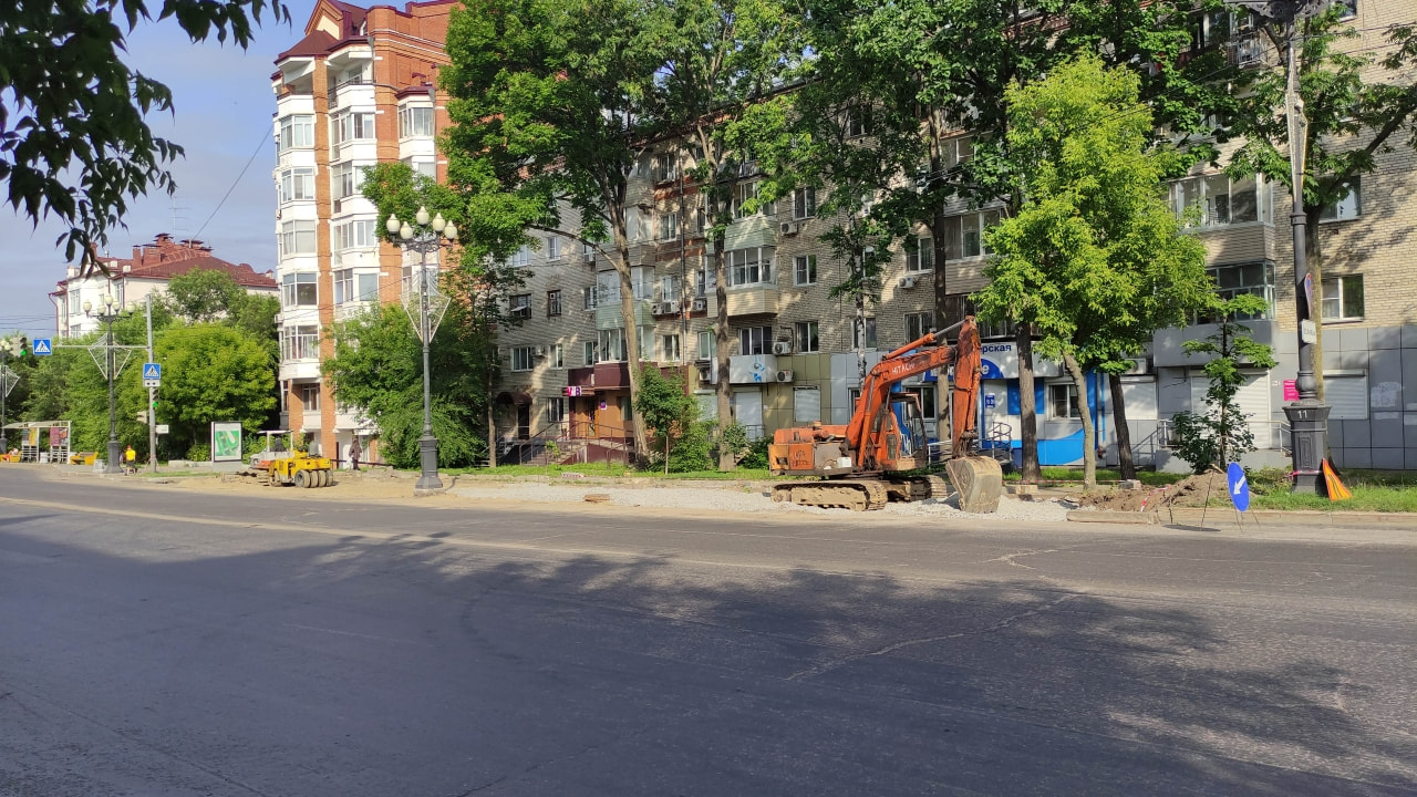Круговорот озеленения: на Ленина добили остатки саженцев ради парковки (ФОТО)