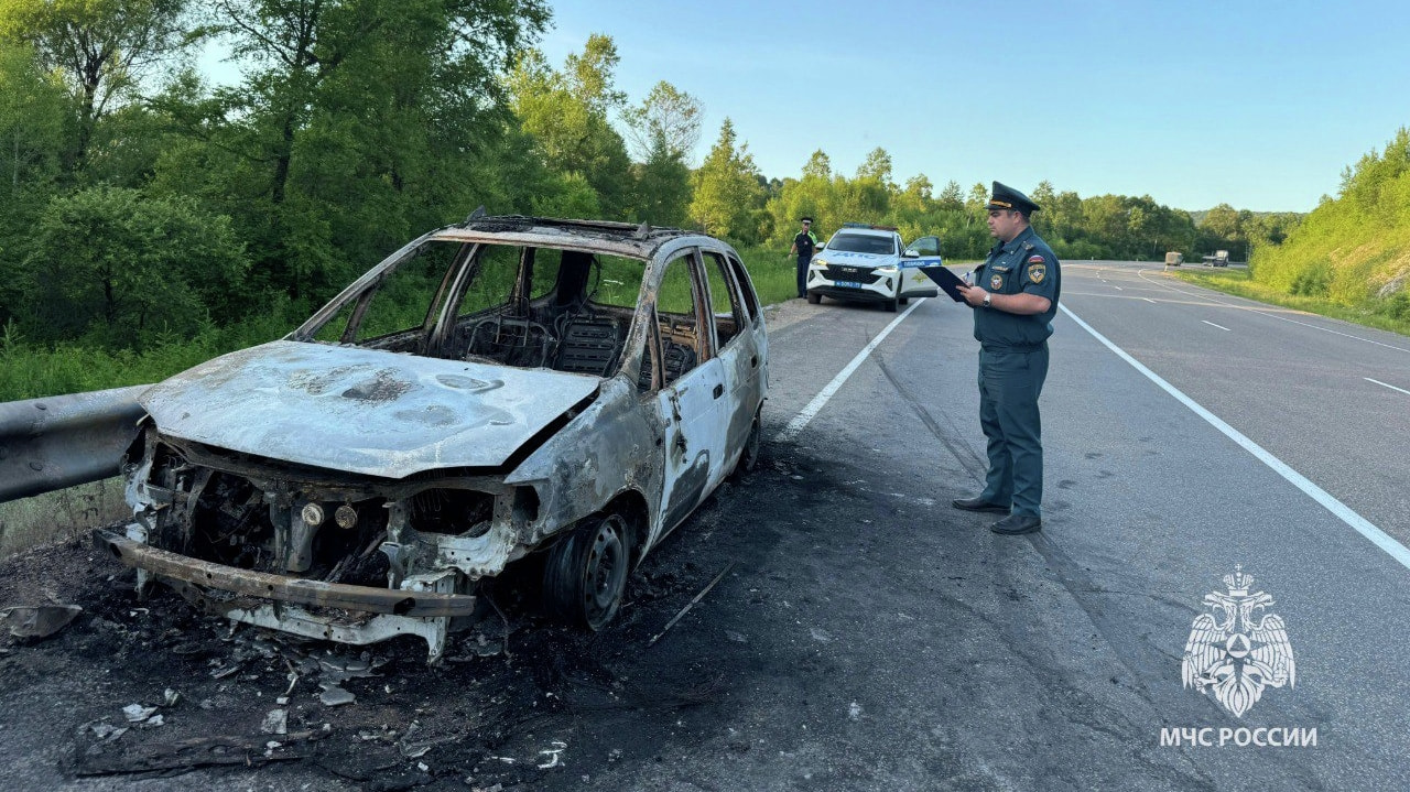 В ЕАО во время движения загорелась Toyota (ФОТО)