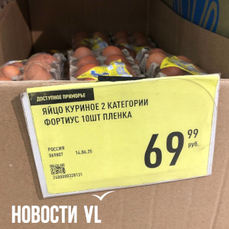 С начала года яйца в Приморье подешевели почти на 30% из-за перепроизводства