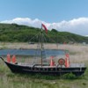 Лодка с лисами. Авторы – сообщество художников «33+1» — newsvl.ru