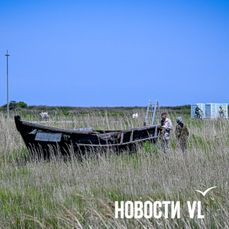 Лисы в лодке, рыбак с подсветкой или курс на восход: для выброшенной на берег Ахлёстышева шхуны выбирают дизайн