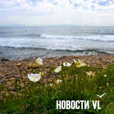 Сегодня во Владивостоке до +28, в пригороде до +32