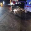 Фото: «Полиция Приморья» — newsvl.ru