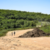 Вятлина — newsvl.ru