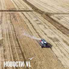 В Приморье мужчина утонул на рисовых полях