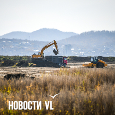 Рыбный порт во Владивостоке и логистический комплекс в Артёме получат льготное финансирование от ВЭБ.РФ