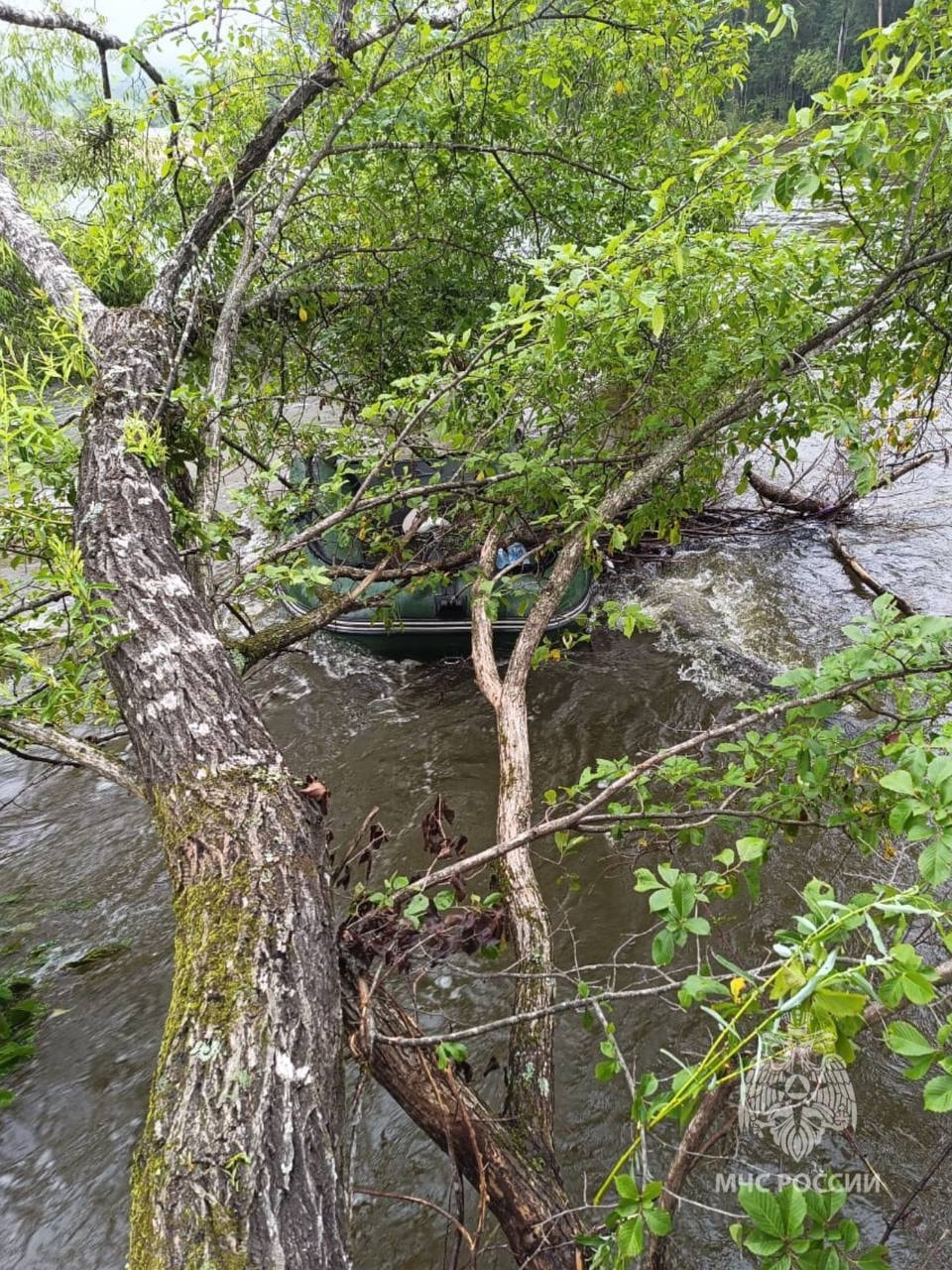 1753060641967_default