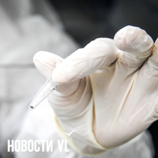 У 102 приморцев нашли энцефалит, болезнь Лайма или риккетсиоз с начала сезона клещей