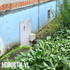 « »,  15-   ,     