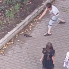 В Уссурийске полиция оштрафовала родителей, чьи дети убили палками голубя