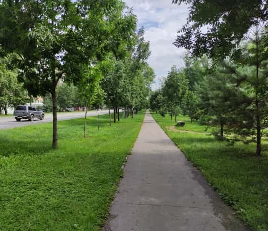 DVHAB на районе: Авиагородок - подзабытое болото (ФОТО)