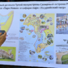 Проект, который показывали в 2019 году — newsvl.ru