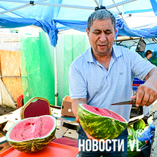 Арбузы на Спортивном рынке стали товаром дня &#151; продавцы уверяют, что все спелые