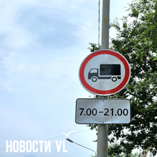 Из-за жары большегрузам запретили заезжать во Владивосток по низководному мосту и выезжать из портов днём