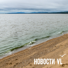 Озеро Ханка снова окрасилось в зелёный цвет из-за размножения водорослей (ФОТО)