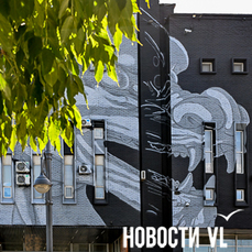 Дракон и тигр на фасаде &laquo;Олимпийца&raquo;: во Владивостоке рисуют мурал &laquo;На Восток&raquo;
