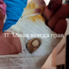 С ответственными за отлов бездомных собак человек связываться не хочет — newsvl.ru