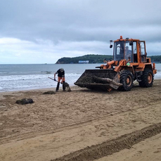 До конца недели пляжи Шаморы очистят от мусора и водорослей