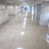 Пешеходные переходы топит — newsvl.ru