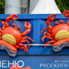 — newsvl.ru