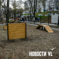 Природоохранная прокуратура добивается обустройства 27 площадок для выгула собак во Владивостоке