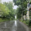 Улица 40 лет ВЛКСМ — newsvl.ru