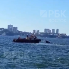 В районе Русского острова затонул катер (ВИДЕО)
