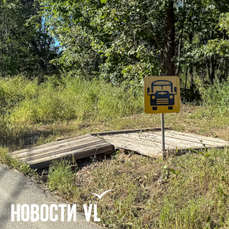 Дети из посёлков и частного сектора в пригороде Владивостока остались без школьного автобуса