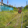 Воропаева — newsvl.ru