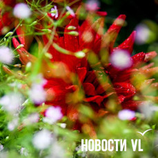Сегодня во Владивостоке без осадков и до +22°C