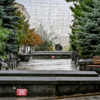  — newsvl.ru