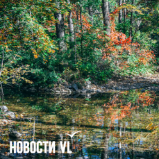 Сегодня во Владивостоке до +21 °С