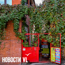 Не плющ, но лиана: дома во Владивостоке украшает девичий виноград (ФОТО)