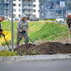 Североморская находится в одном из самых молодых микрорайонов Владивостока — newsvl.ru