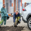 Прежде на газоне лежала глина вперемешку со скальником — newsvl.ru