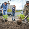 Лунки выкапывают мужчины…  — newsvl.ru
