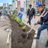 За сезон «Жители города» озеленили участок на Ладыгина, разбили две клумбы на Нейбута — newsvl.ru
