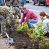 Обычно спиреи цветут уже на третий год  — newsvl.ru