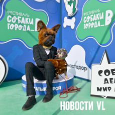 &laquo;Собаку надо любить&raquo;: во Владивостоке прошёл фестиваль с конкурсами и лекциями, посвященный четвероногим (ФОТО)