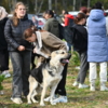  — newsvl.ru