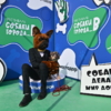  — newsvl.ru