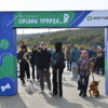 — newsvl.ru