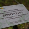  — newsvl.ru