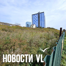 Прокуратура требует расторжения договора аренды на участок возле сопки Змеиной