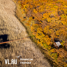 Сегодня во Владивостоке похолодает до +11 °C