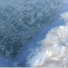 Фото: Официальный телеграм-канал Амурской бассейновой природоохранной прокуратуры — newsvl.ru