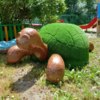 Та самая фигура — newsvl.ru