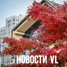 Сегодня во Владивостоке до +4 °С
